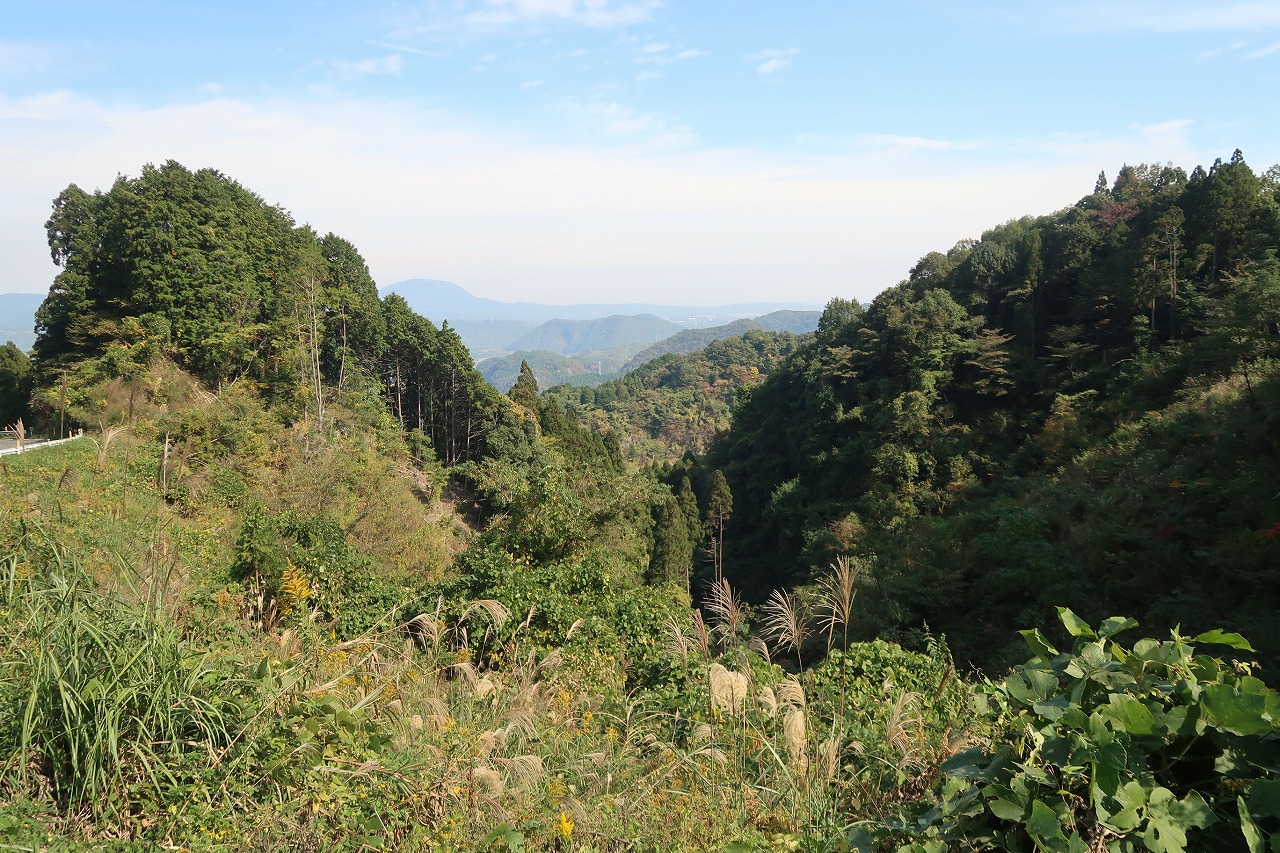 45町の見晴らしの良い山林(持分112/6723）