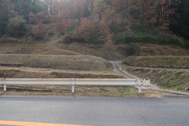 国道210号線沿いの農地