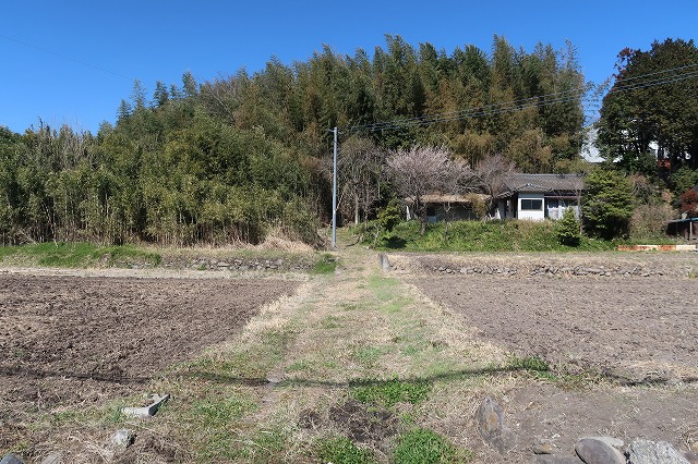 長宝団地近くの山林です。