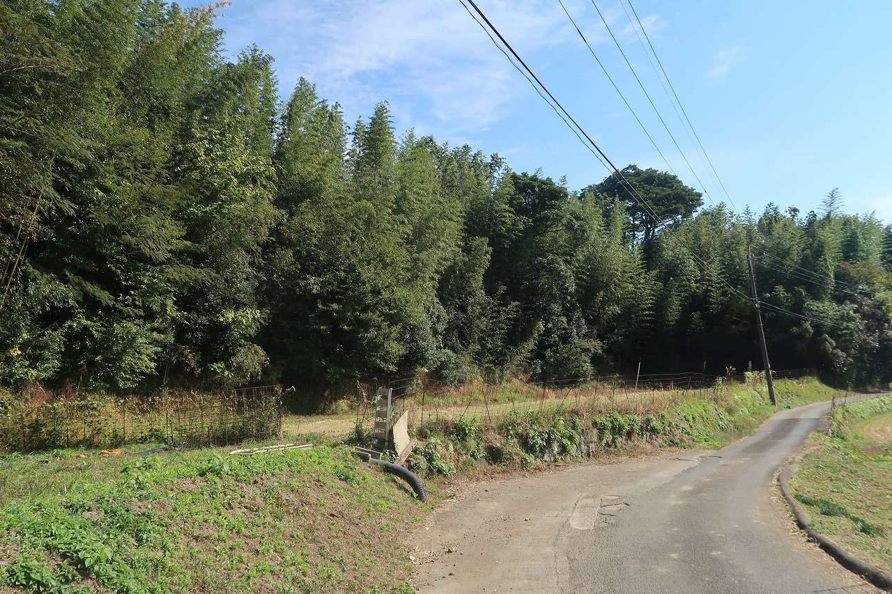 5.1反ある庄内町中の竹山です。