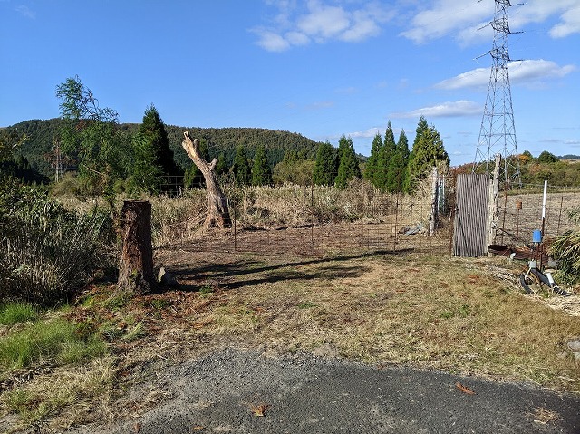 4.5反の山林
