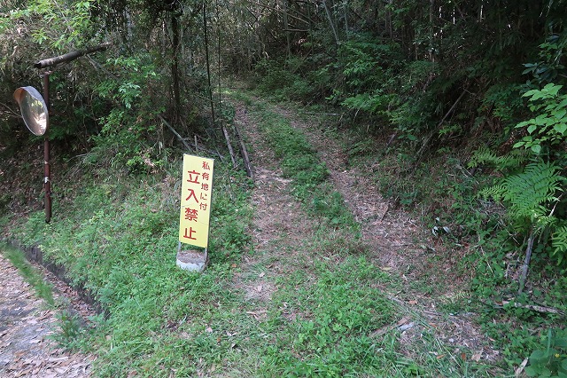 5町5反ある挾間町朴木の山林