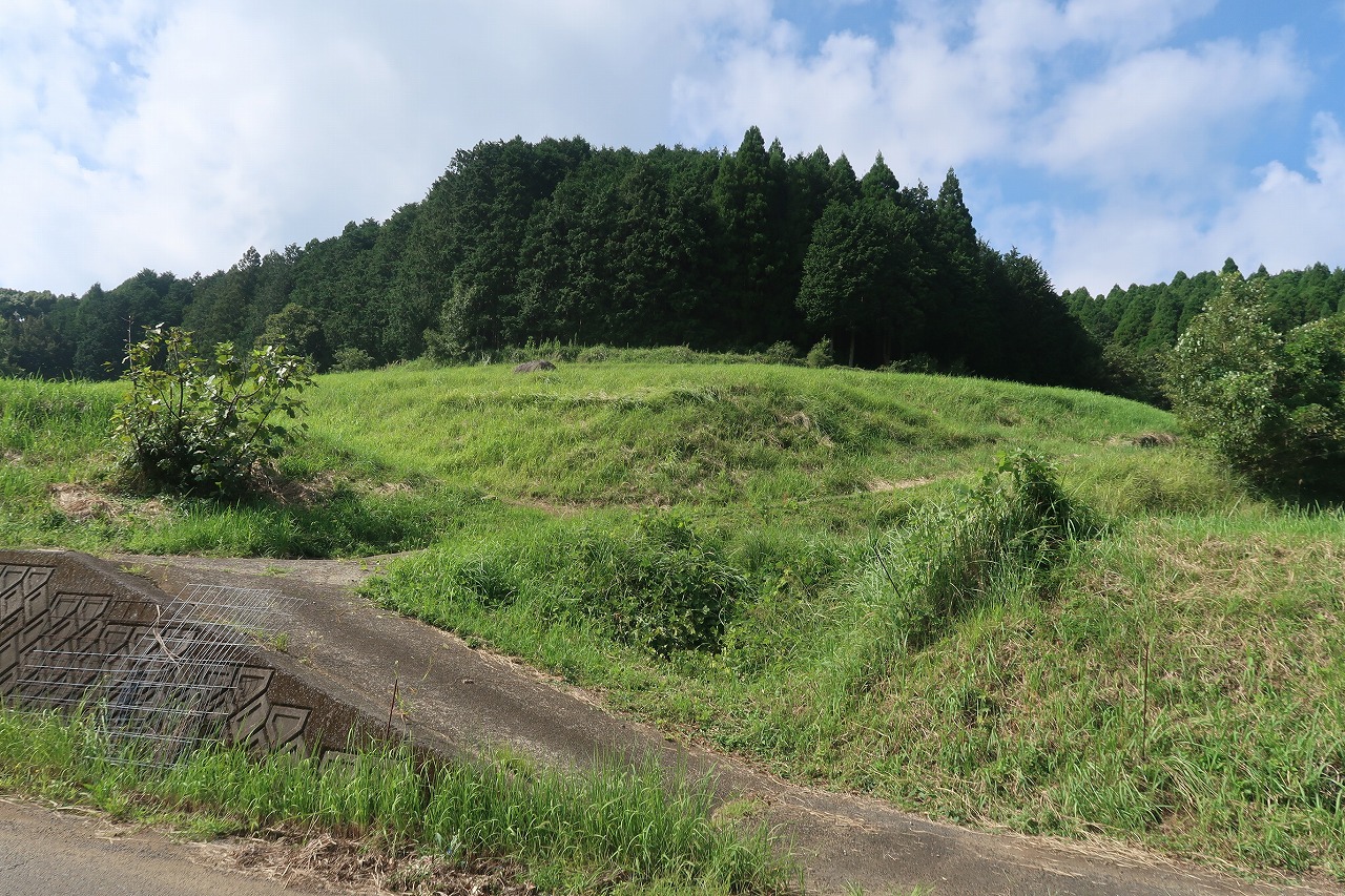 1町6反ある平石の山林