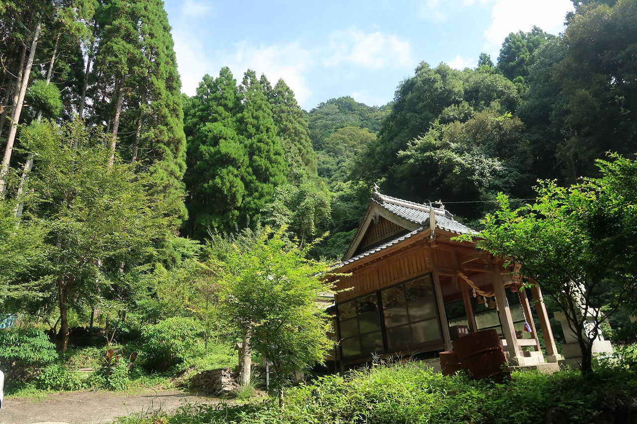 7反ある湧水の湧いている諏訪神社近くの山林
