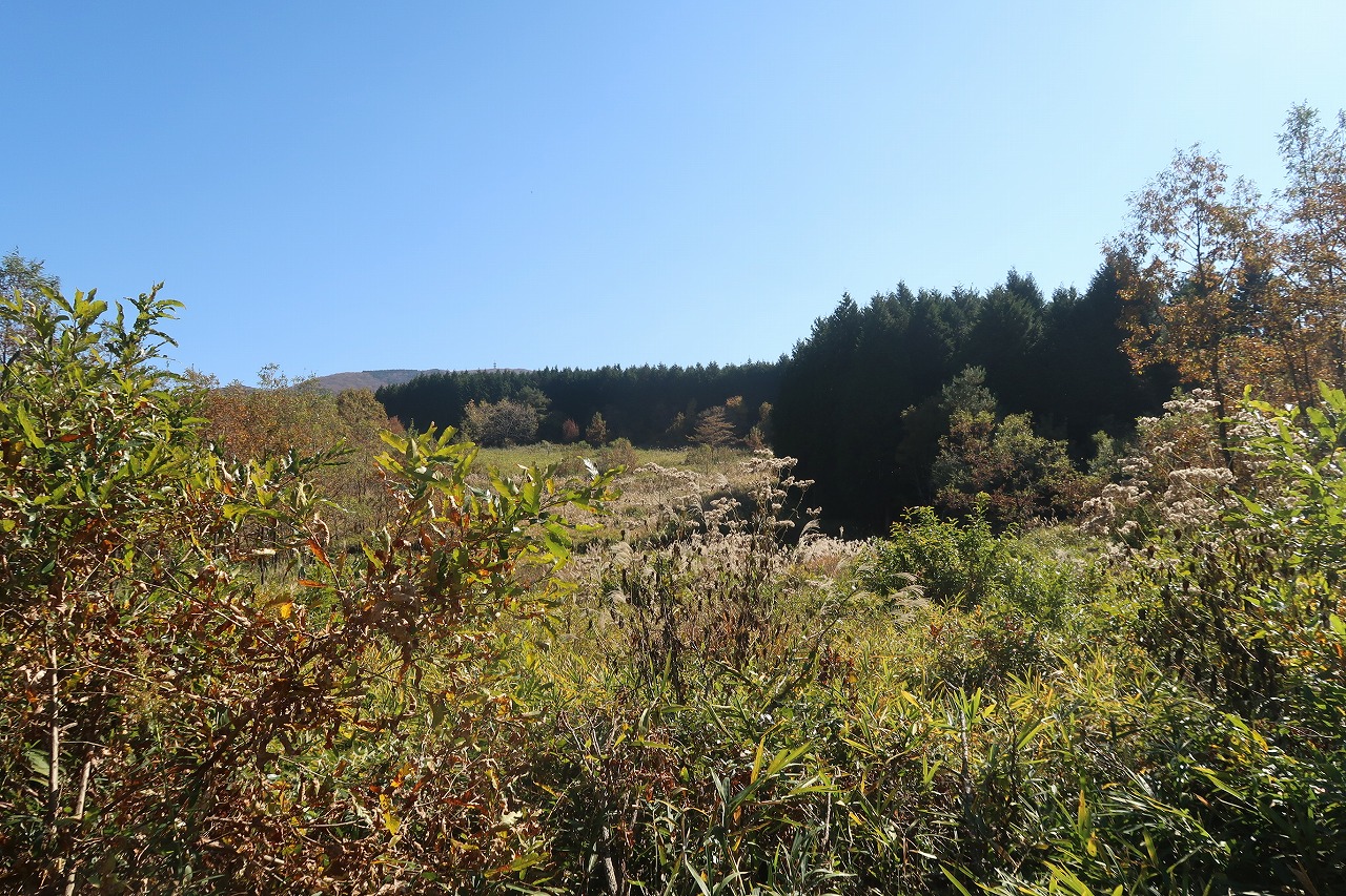 湯布院町川西