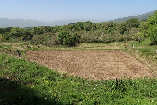 1町1反の農地・山林