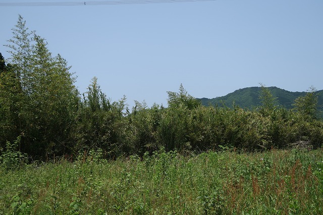 約6.9反程ある山林A