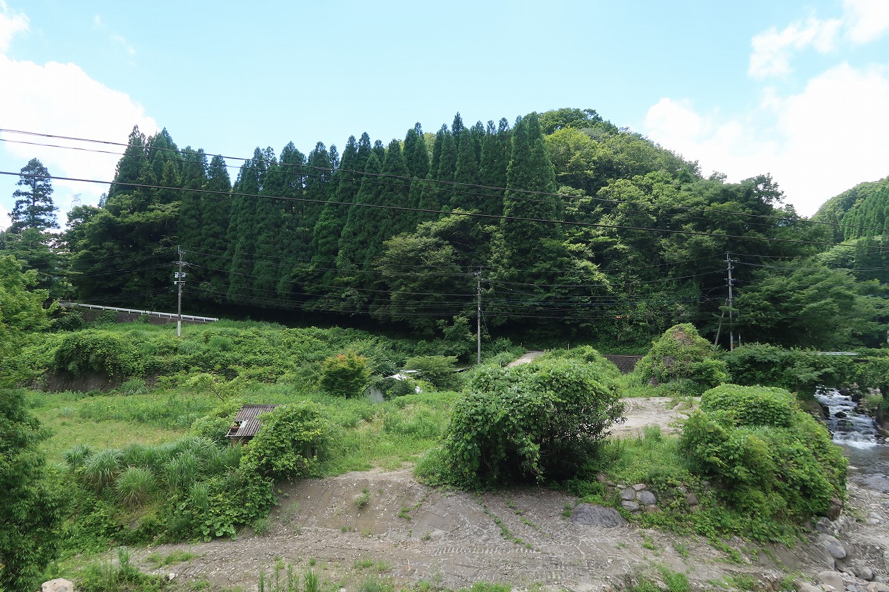 約1.4町歩程ある山林C