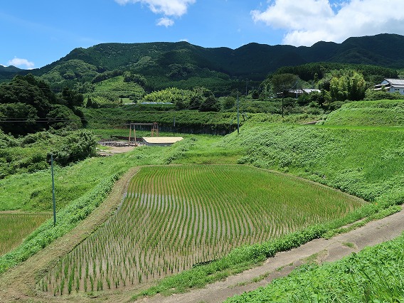 1町9反の農地