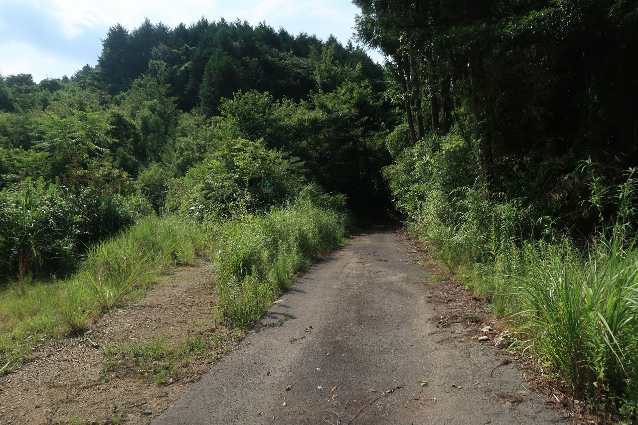 50町ある大分市の山林