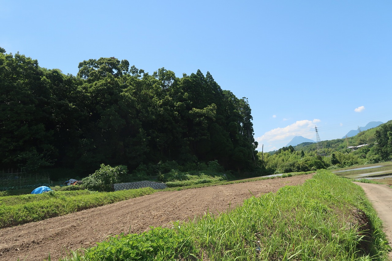 大分県消防学校近くの山林