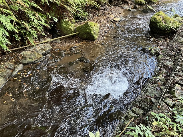 陽目キャンピングパーク隣接2町7反の水が湧いている保安林