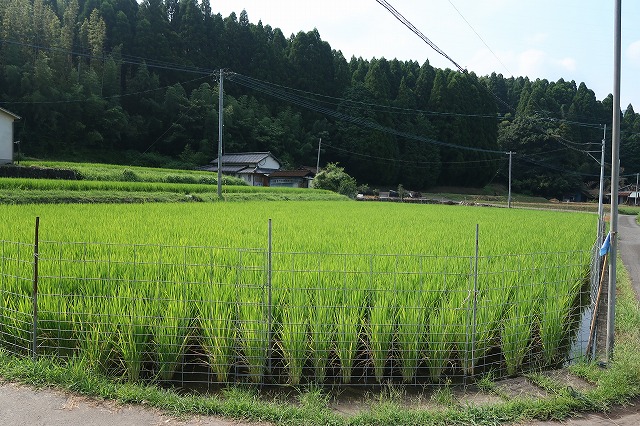 2.5反の農地