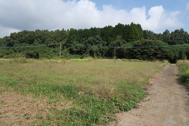 6.2町ある絶景のダム湖を楽しめる「道の駅のつはる」近くの農地・山林