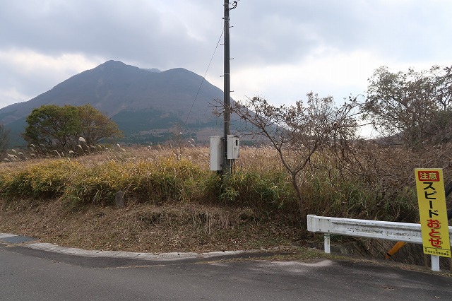 3.5反の原野・保安林の共有持分