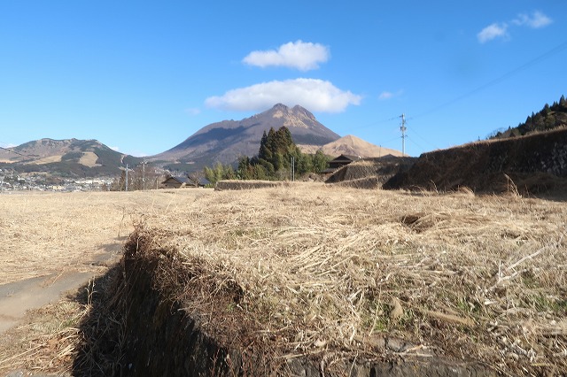 7.5反ある湯布院町川南の山林等