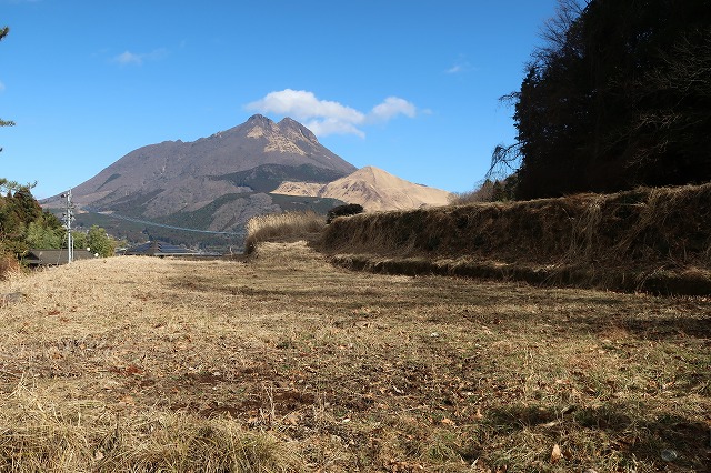 7.5反ある湯布院町川南の山林等