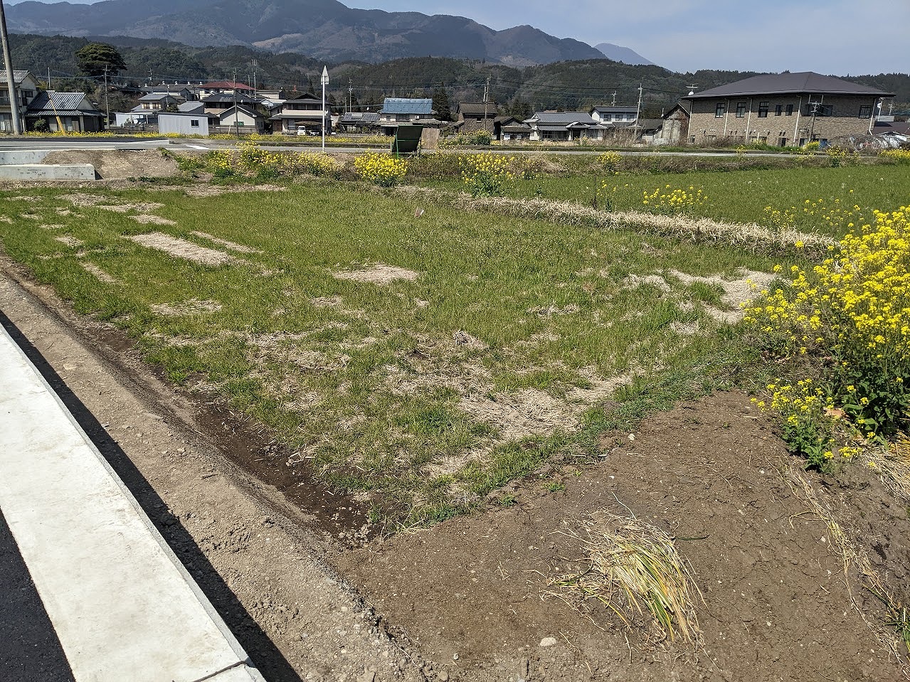 由布市の行政の中心B