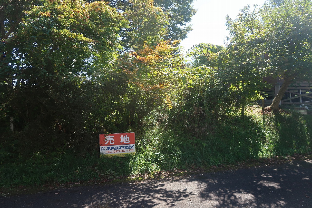 男池近くの土地